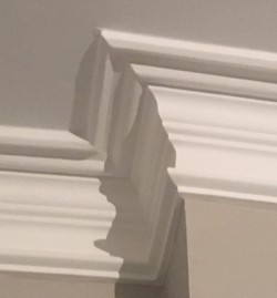 Matched cornice Sion Hill Bristol