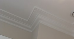 Cornice fitting in Bath